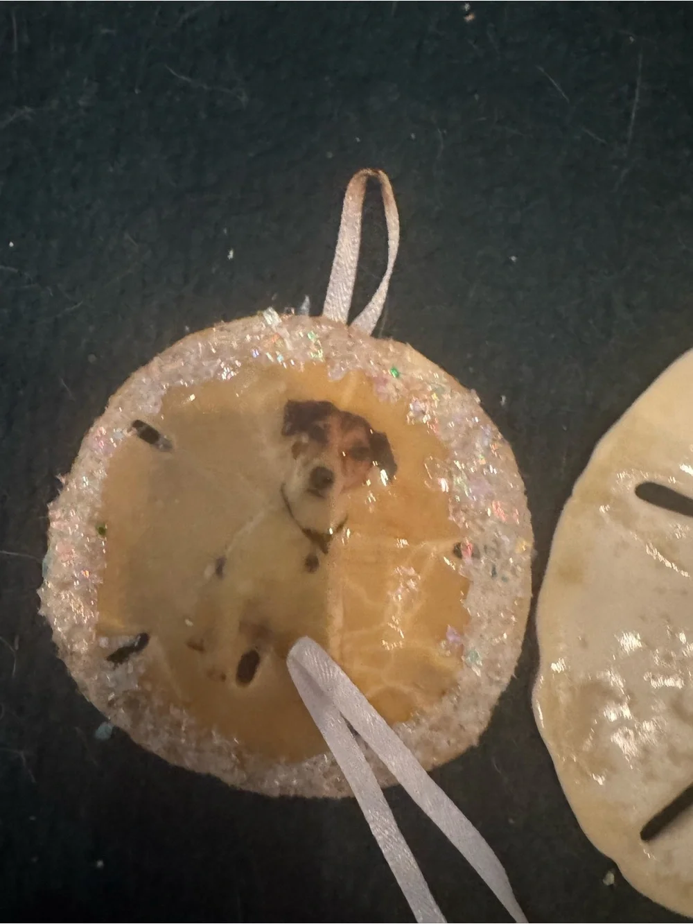 Custom Dog Photo real  Sand Dollar Ornament - Personalized Pet Keepsake (Cream)